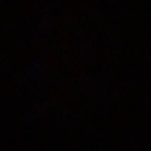 Meet your Posher, Cody